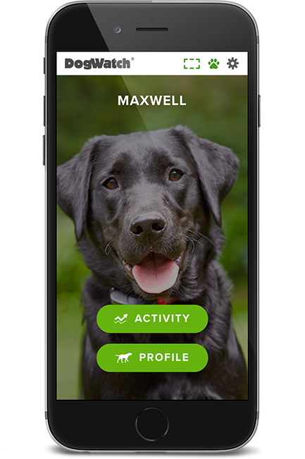 DogWatch by Family Fence, Walhalla, South Carolina | SmartFence WebApp Image