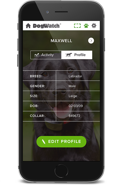 DogWatch by Family Fence, Walhalla, South Carolina | SmartFence WebApp Image